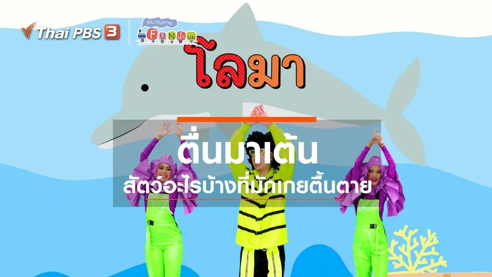 ตื่นมาเต้น : สัตว์อะไรบ้างที่มักเกยตื้นตาย