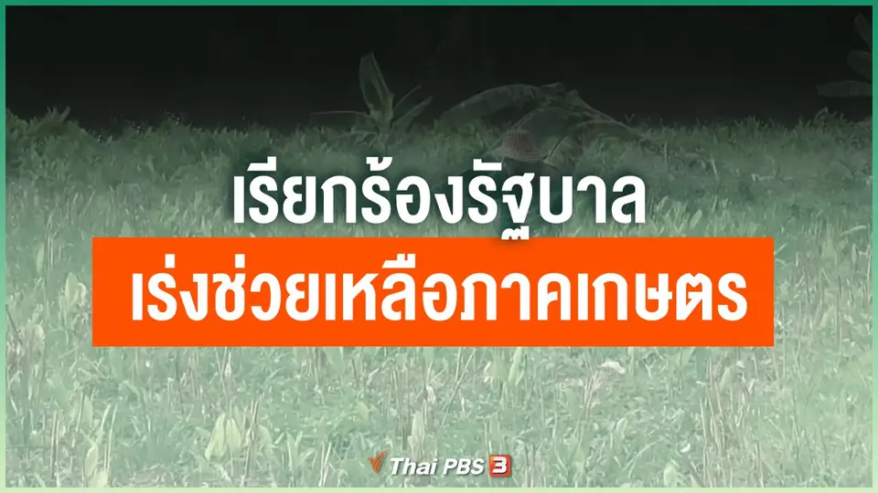 เรียกร้องรัฐบาลเร่งช่วยเหลือภาคเกษตร