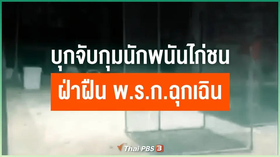 บุกจับกุมนักพนันไก่ชน 24 คน ฝ่าฝืน พ.ร.ก.ฉุกเฉิน