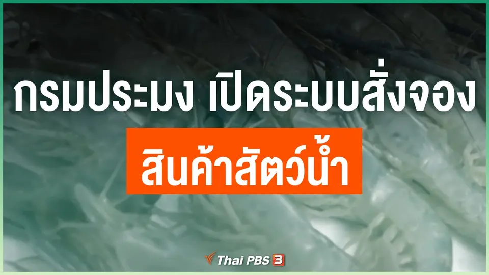 กรมประมง เปิดระบบสั่งจองสินค้าสัตว์น้ำ