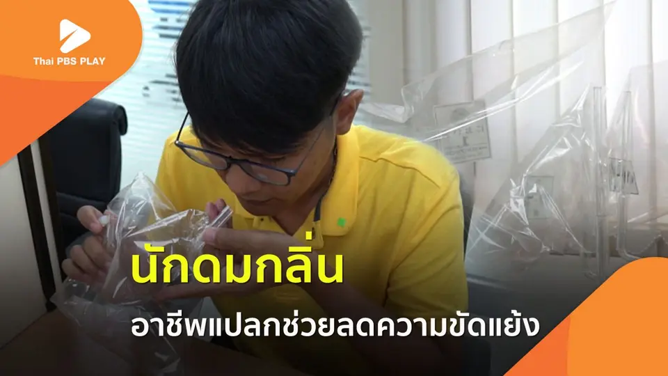 นักดมกลิ่น อาชีพแปลกที่ช่วยลดความขัดแย้งในสังคม?