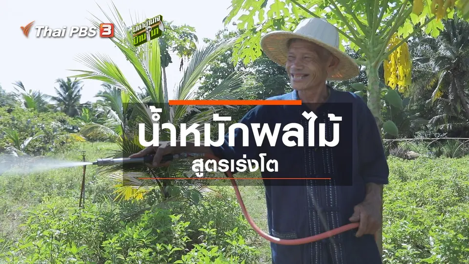 ​สูตรลับฉบับออนไลน์ : น้ำหมักผลไม้
