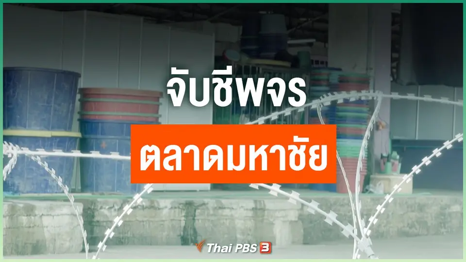 จับชีพจรตลาดมหาชัย