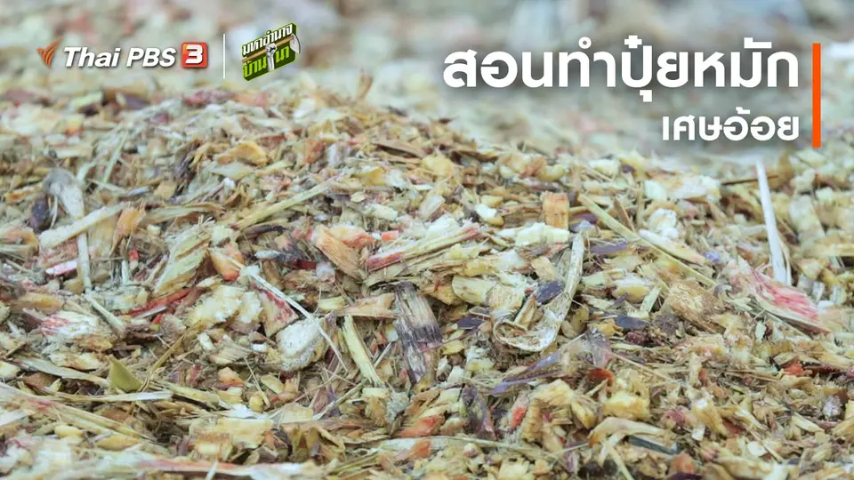 สูตรลับฉบับบ้านนา : สอนทำปุ๋ยหมักเศษอ้อย