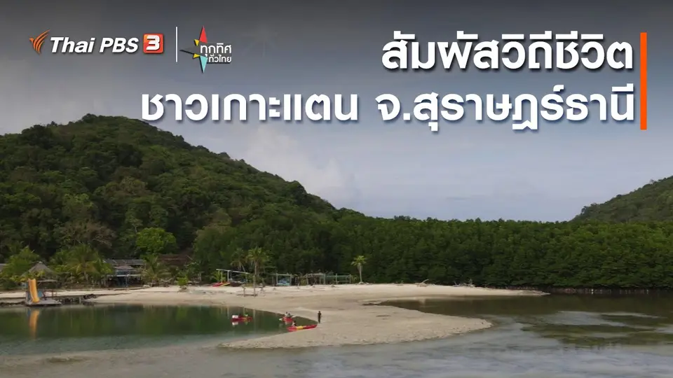 ​วิถีทั่วไทย : สัมผัสวิถีชีวิตชาวเกาะแตน จ.สุราษฎร์ธานี