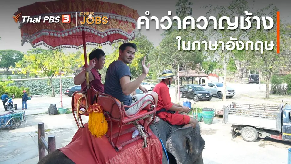 สาระน่ารู้จาก Chris Jobs : คำว่าควาญช้างในภาษาอังกฤษ