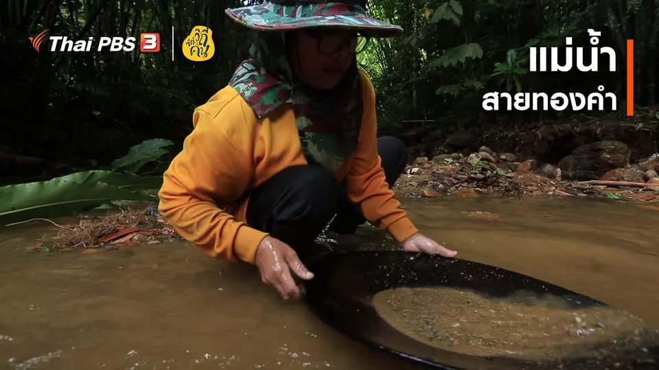 แม่น้ำสายทองคำ