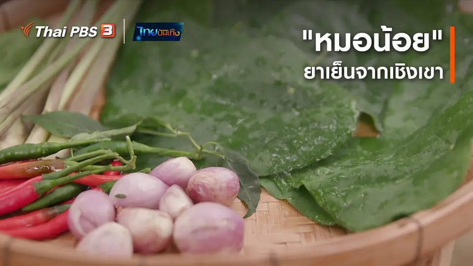 อิ่มมนต์รส : "หมอน้อย" ยาเย็นจากเชิงเขา