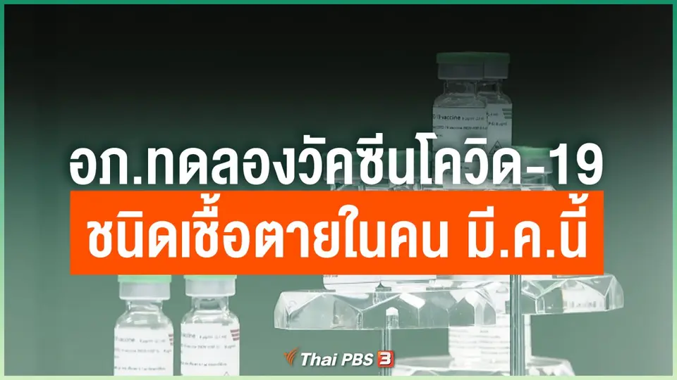 อภ.ทดลองวัคซีนโควิด-19 ชนิดเชื้อตายในคน มี.ค.นี้