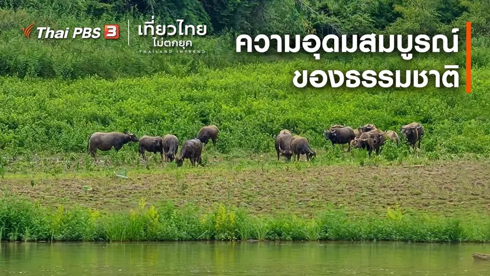 เที่ยวทั่วไทย : ความอุดมสมบูรณ์ของธรรมชาติ