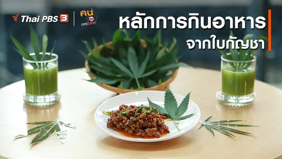 รู้สู้โรค : หลักการกินอาหารจากใบกัญชา