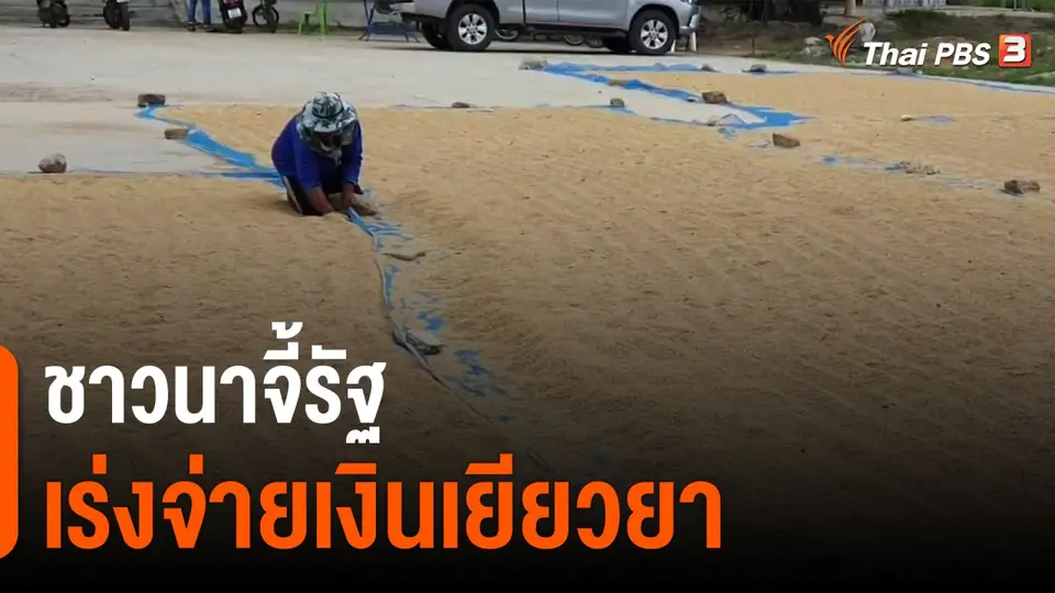 กินอยู่รู้รอบ : ชาวนาจี้รัฐเร่งจ่ายเงินเยียวยา