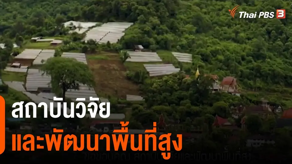 ​ดอกผลของความยั่งยืน : สถาบันวิจัยและพัฒนาพื้นที่สูง