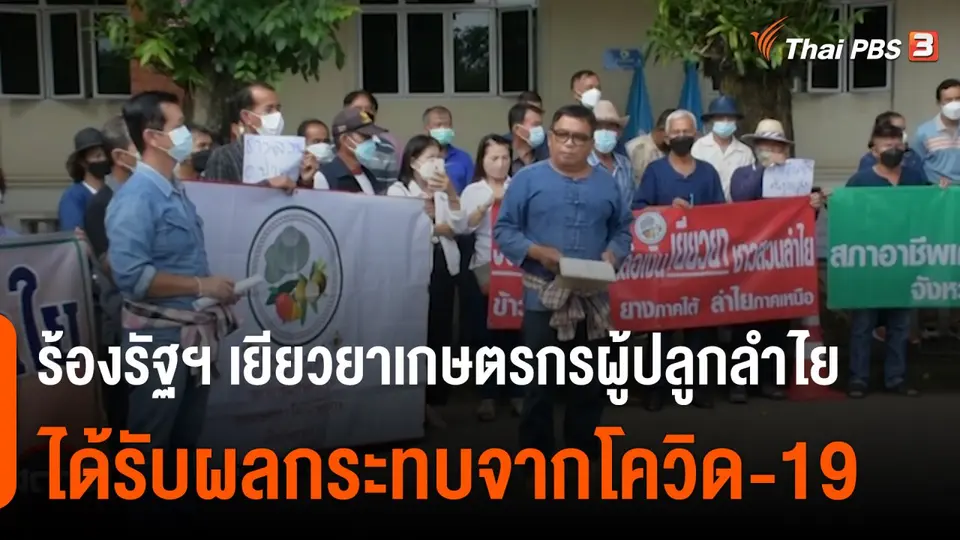 สถานีร้องเรียน : ร้องรัฐฯ เยียวยาเกษตรกรผู้ปลูกลำไย ได้รับผลกระทบจากโควิด-19