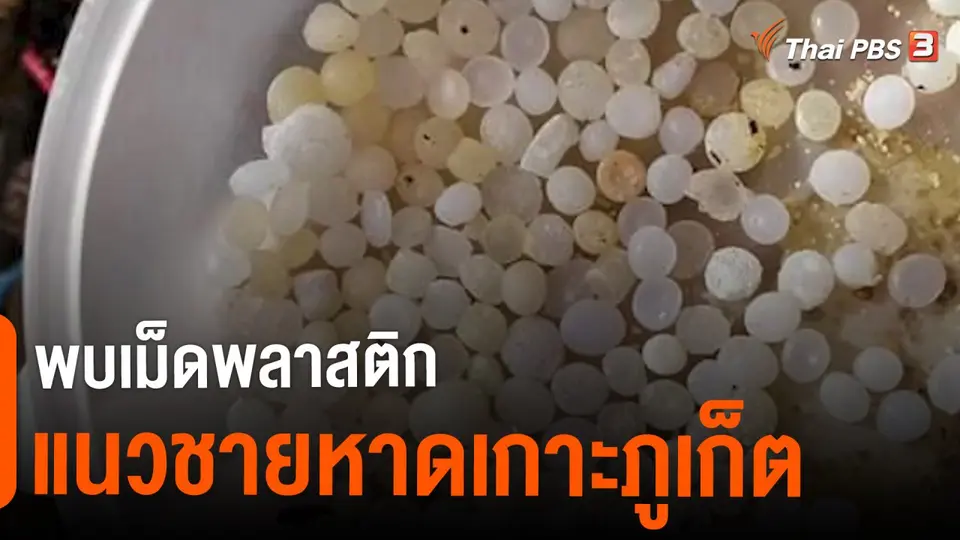 C-Site Focus พิกัดข่าว : ​พบเม็ดพลาสติก แนวชายหาดเกาะภูเก็ต