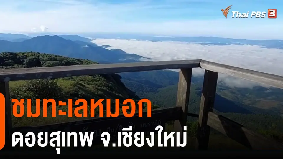 ชมทะเลหมอกดอยสุเทพ จ.เชียงใหม่