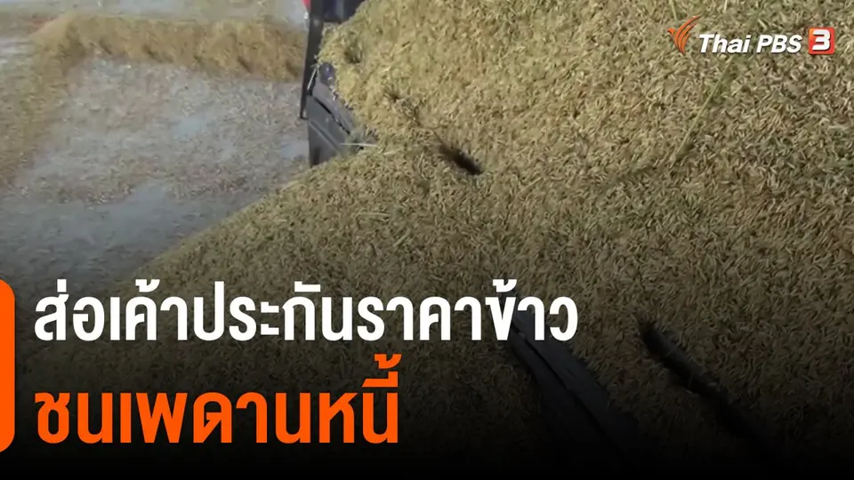 ส่อเค้าประกันราคาข้าวชนเพดานหนี้