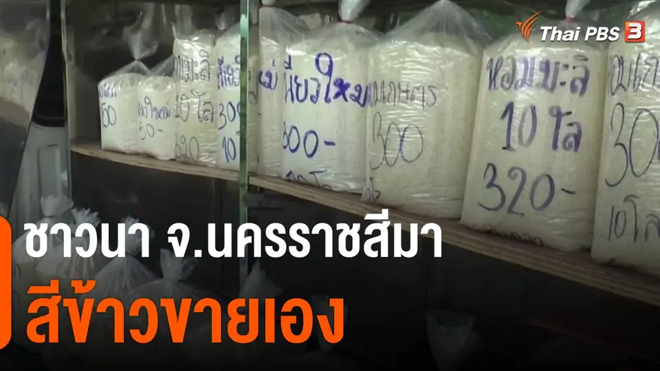กินอยู่รู้รอบ : ชาวนา จ.นครราชสีมา สีข้าวขายเอง