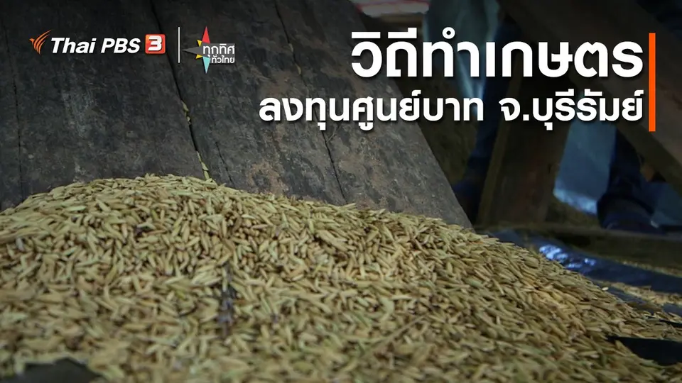 อาชีพทั่วไทย : วิถีทำเกษตรลงทุนศูนย์บาท จ.บุรีรัมย์