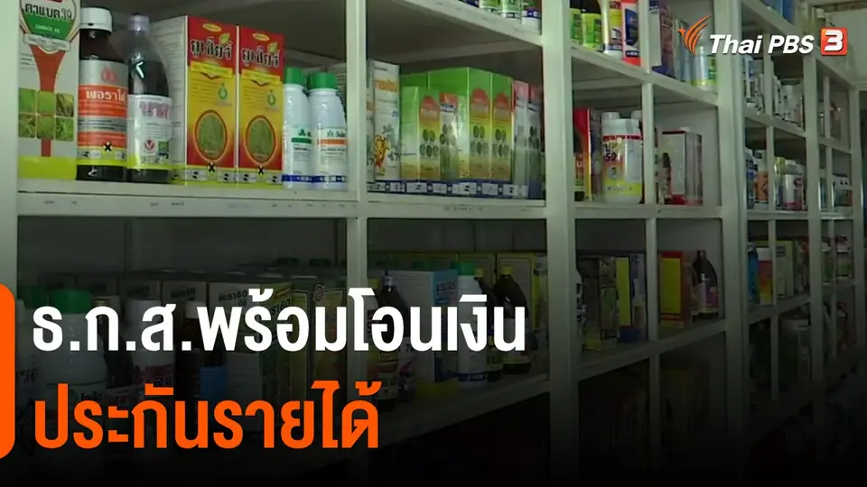 ​กินอยู่รู้รอบ : ธ.ก.ส.พร้อมโอนเงินประกันรายได้