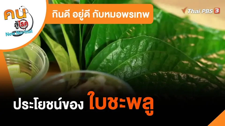กินดีอยู่ดีกับหมอพรเทพ : ประโยชน์ของใบชะพลู