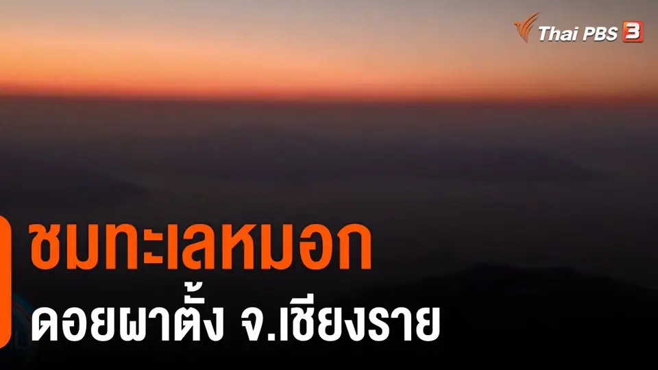 ชมทะเลหมอกดอยผาตั้ง จ.เชียงราย