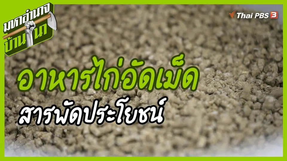 สูตรลับฉบับบ้านนา : อาหารไก่อัดเม็ดสารพัดประโยชน์