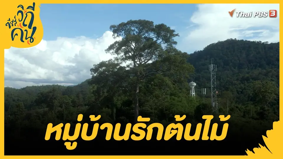 ​หมู่บ้านรักต้นไม้