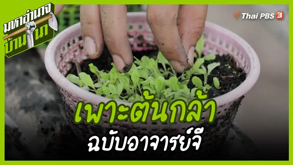 สูตรลับฉบับบ้านนา : เพาะต้นกล้าฉบับอาจารย์จี