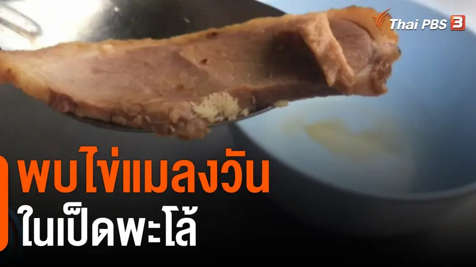 พบไข่แมลงวัน ในเป็ดพะโล้