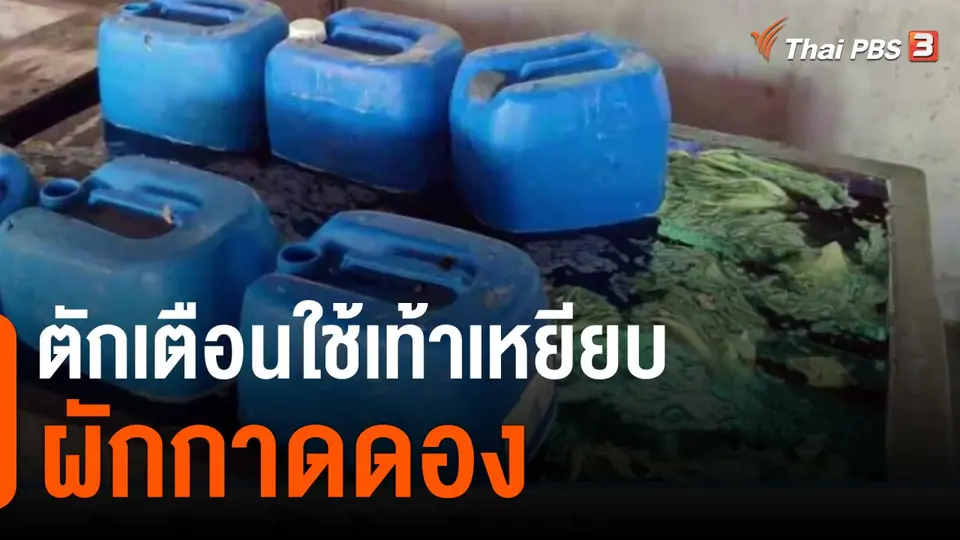ตักเตือนใช้เท้าเหยียบผักกาดดอง