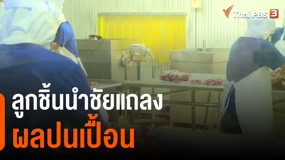 ลูกชิ้นนำชัยแถลงผลปนเปื้อน