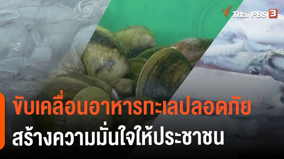 ประเด็นสังคม : ขับเคลื่อนอาหารทะเลปลอดภัย สร้างความมั่นใจให้ประชาชน