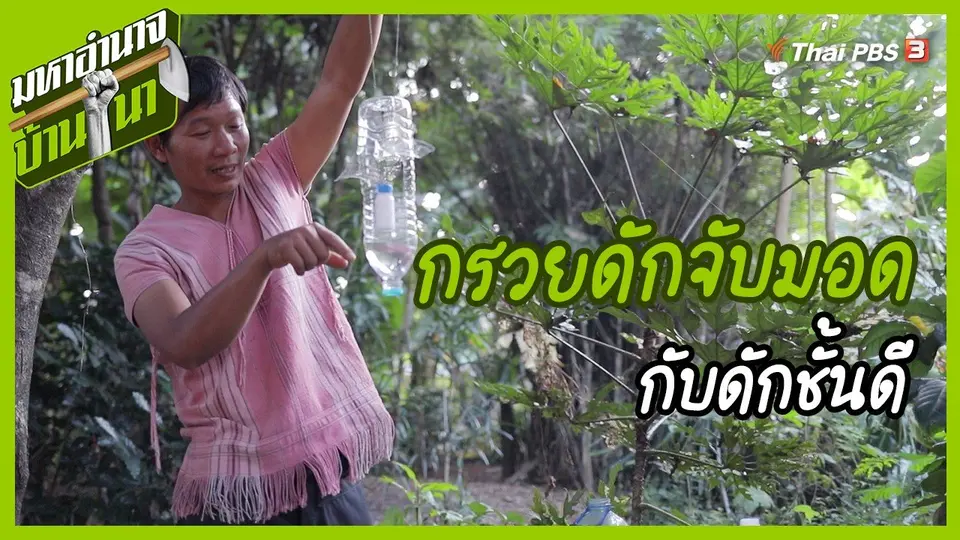 ​สูตรลับฉบับบ้านนา : กรวยดักจับมอด