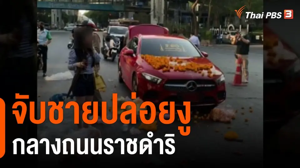 จับชายปล่อยงูกลางถนนราชดำริ