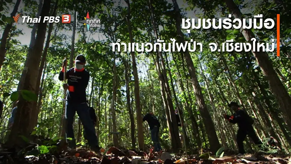 ​วิถีทั่วไทย : ชุมชนร่วมมือทำแนวกันไฟป่า จ.เชียงใหม่