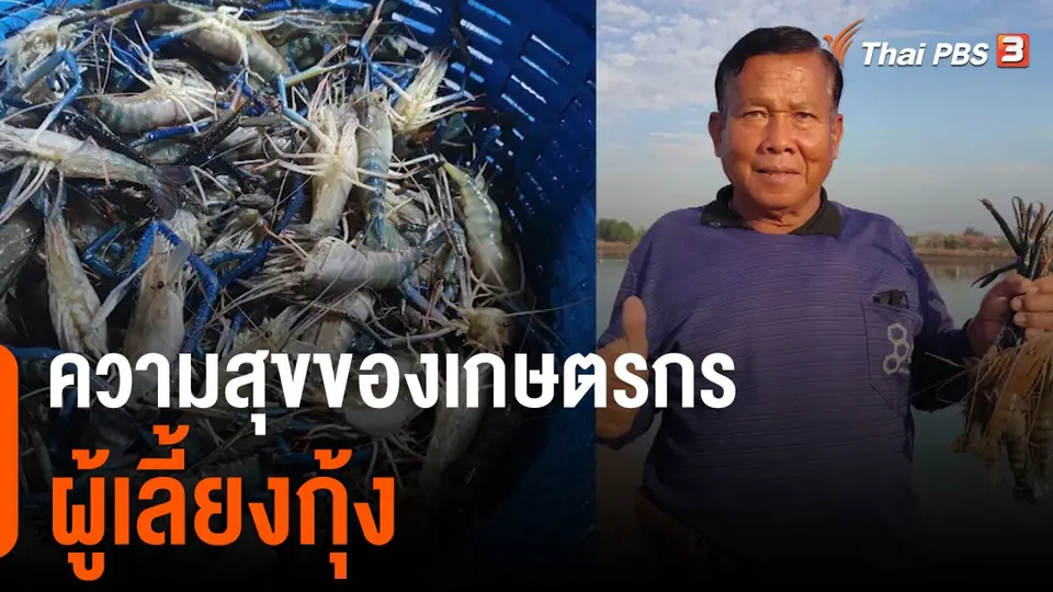 ดอกผลของความยั่งยืน : ความสุขของเกษตรกรผู้เลี้ยงกุ้ง