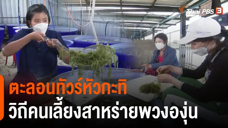 สีสันวาไรตี้ (11 ก.พ. 65)