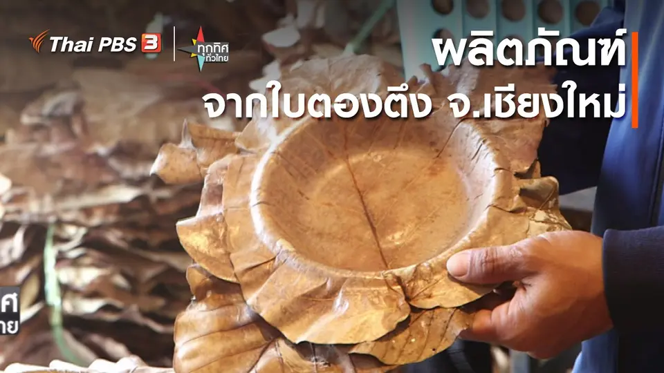 วิถีทั่วไทย : ผลิตภัณฑ์จากใบตองตึง จ.เชียงใหม่