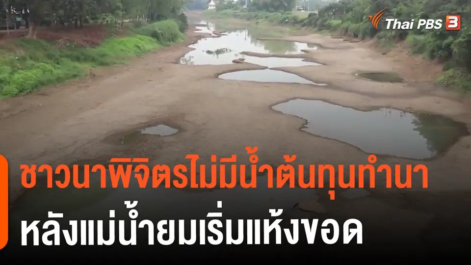 ​ชาวนาพิจิตรไม่มีน้ำต้นทุนทำนาหลังแม่น้ำยมเริ่มแห้งขอด