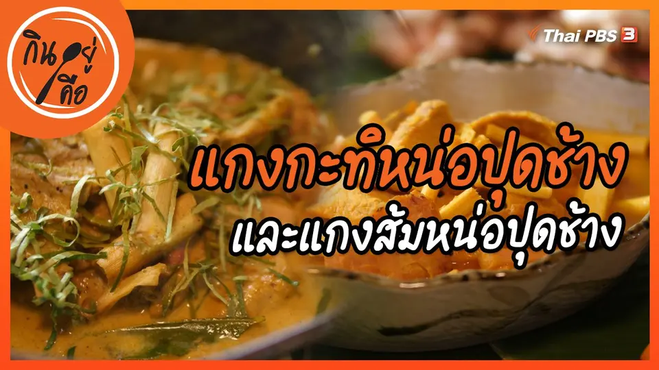 สูตรลับออนไลน์ : แกงกะทิหน่อปุดช้าง และแกงส้มหน่อปุดช้าง
