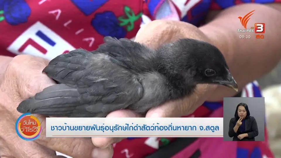 สีสันวาไรตี้ (15 ม.ค. 64)