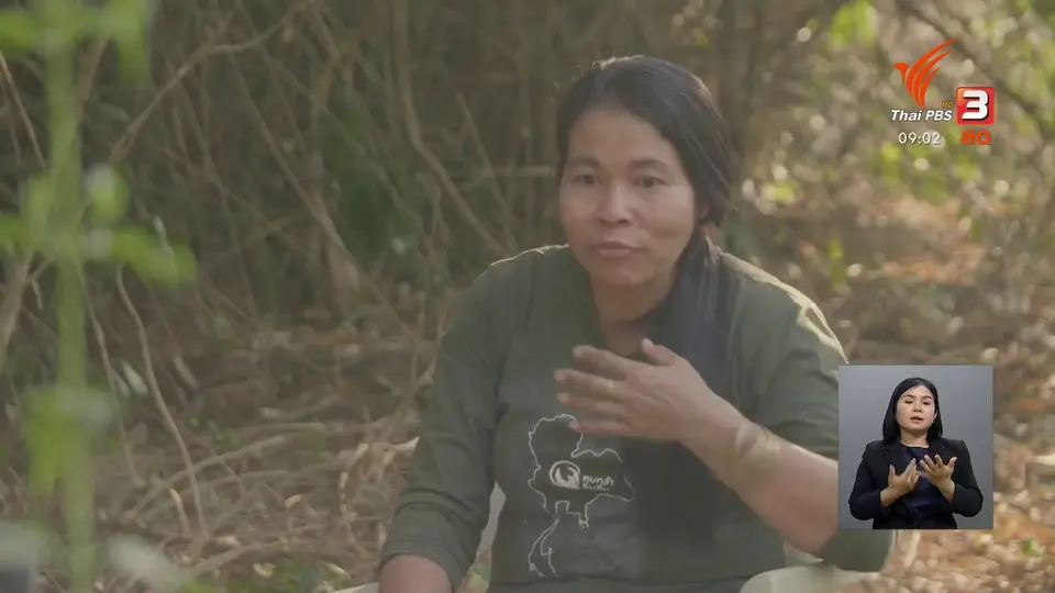 ​แสงจากพ่อ สู่ความยั่งยืน : เกษตรกรนักดูแลสุขภาพกับการสร้างอาหารให้ยั่งยืน