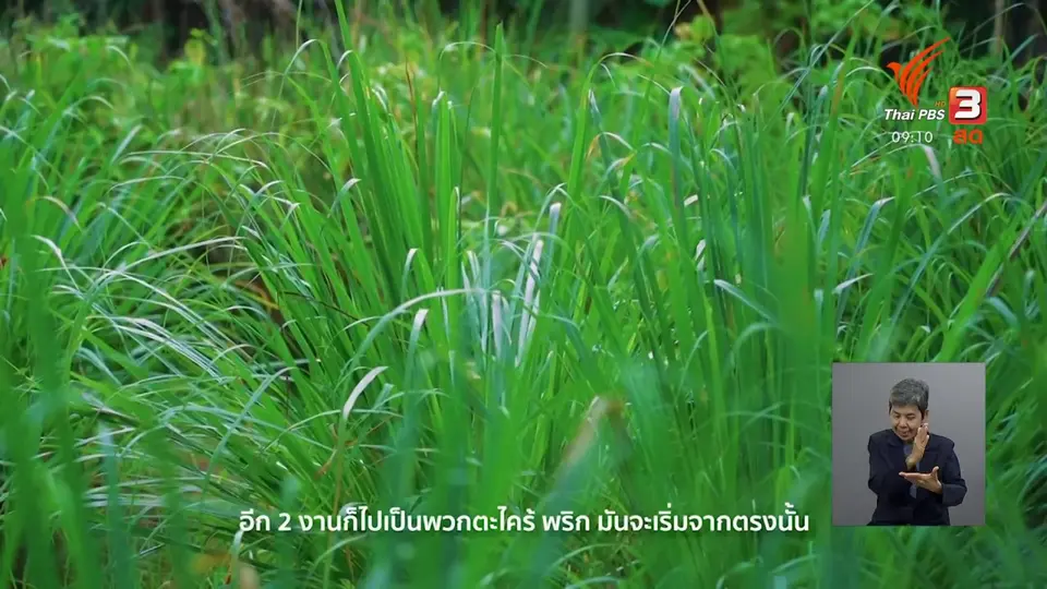 ​แสงจากพ่อ สู่ความยั่งยืน : “บ้านไร่กร่าง” ชุมชนต้นแบบเศรษฐกิจพอเพียง