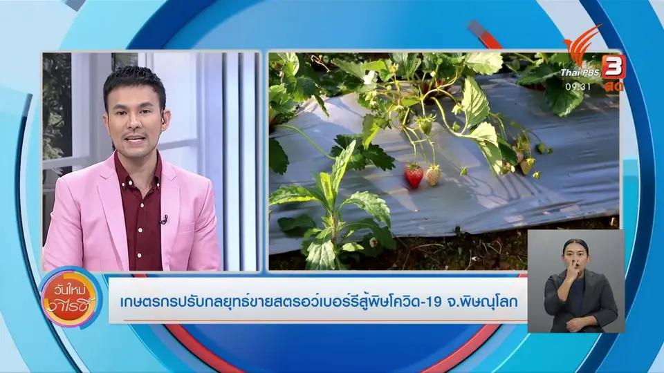 ​สีสันวาไรตี้ (26 ม.ค. 64)