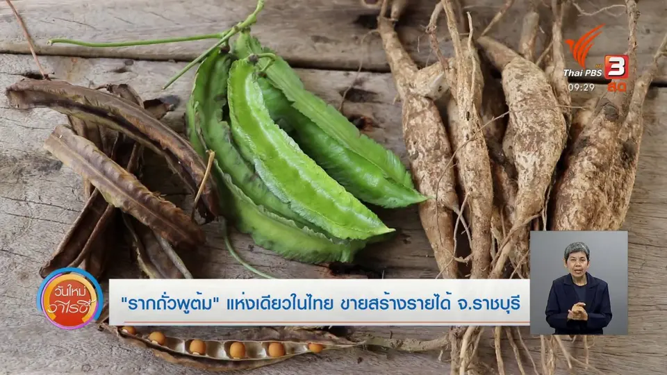 ​สีสันวาไรตี้ (29 ม.ค. 64)