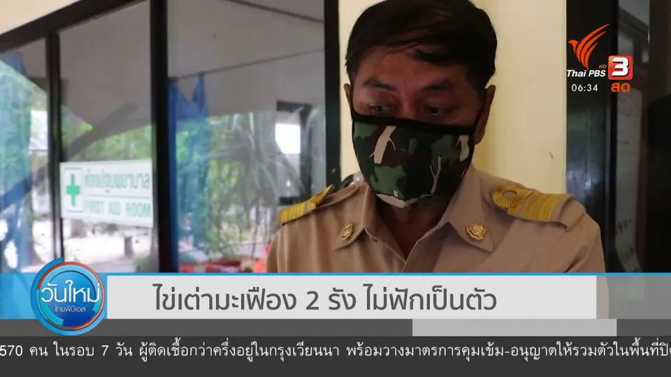 ​ไข่เต่ามะเฟือง 2 รัง ไม่ฟักเป็นตัว
