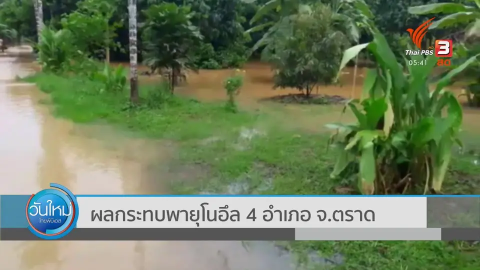 ​ผลกระทบพายุโนอึล 4 อำเภอ จ.ตราด