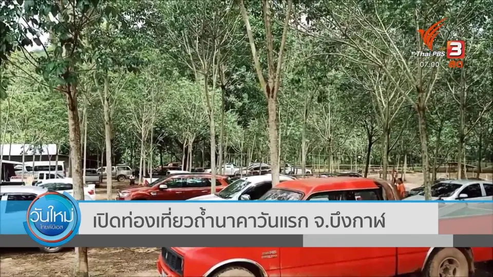 เปิดท่องเที่ยวถ้ำนาคาวันแรก จ.บึงกาฬ