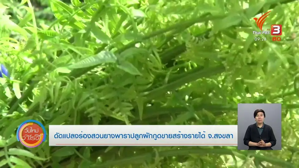 สีสันวาไรตี้ (8 ม.ค. 64)